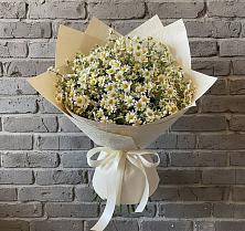 Букет цветов из:  Ромашки в Старый городок
