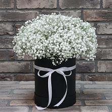 Цветочная композиция из Гипсофила в шляпной коробке в Старый городок