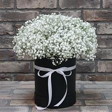 Цветочная композиция из Гипсофила в шляпной коробке в Старый городок