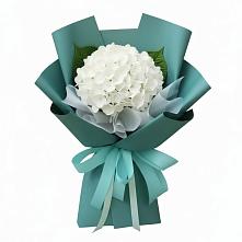 Букет цветов из:  Гортензия в Старый городок